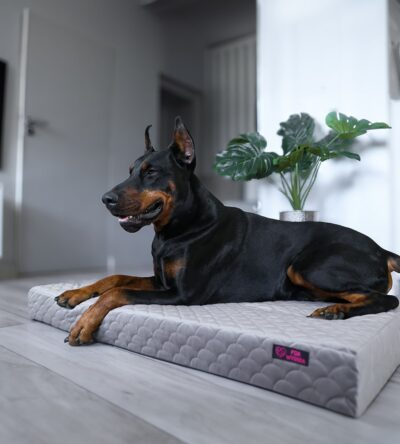 legowisko ortopedyczne dla psa psia wygoda