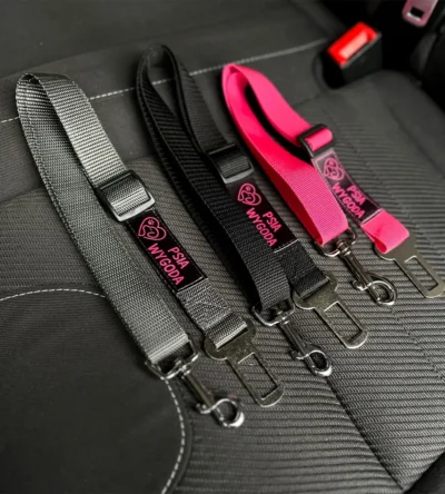 PAS SAMOCHODOWY DLA PSA