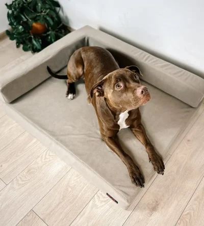 POKROWIEC NA SOFA DLA PSA ORTO PLUS NA WYMIAR