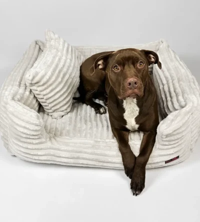 POKROWIEC NA KANAPĘ CLASSY DLA PSA