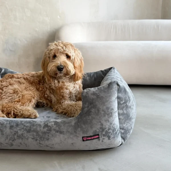 pies rasy labradoodle na szarym legowisku, w tle beżowa kanapa