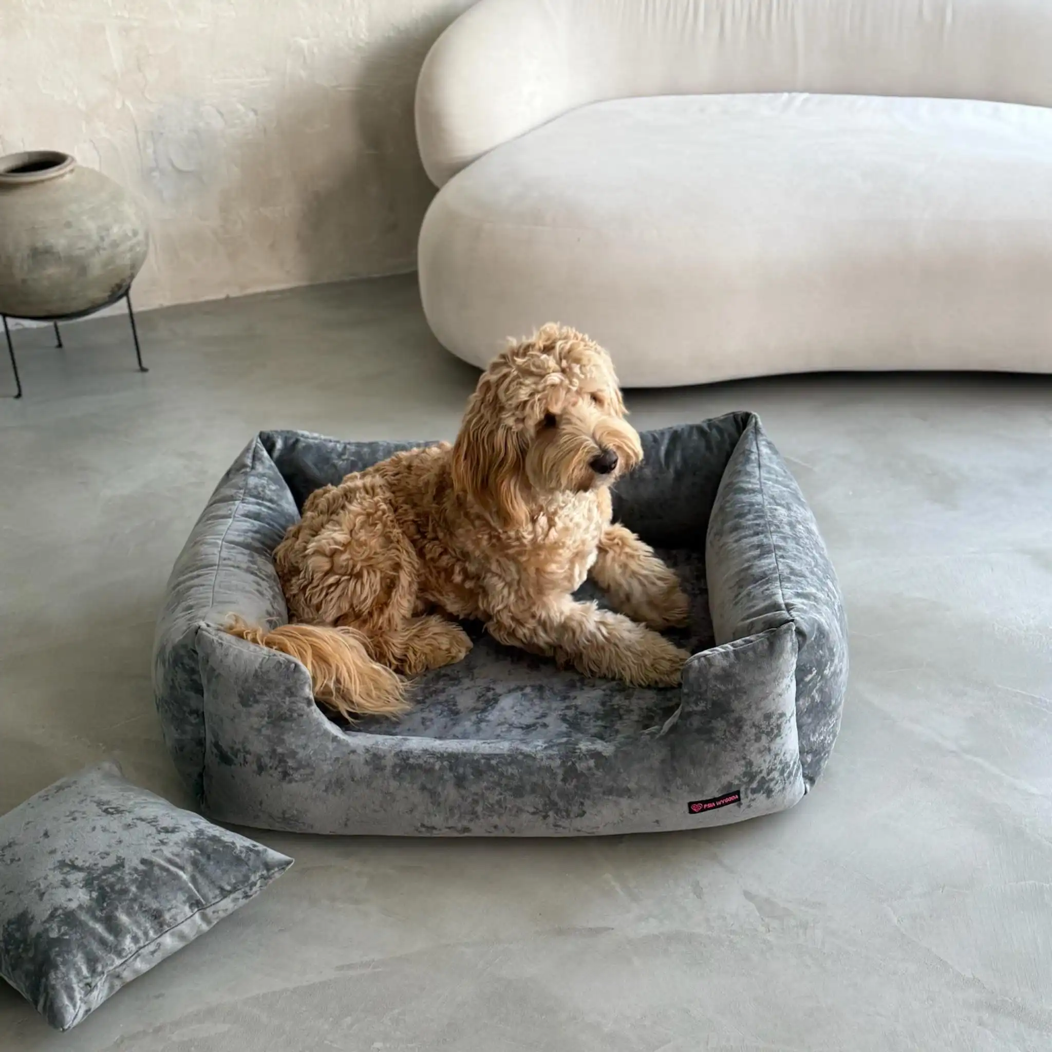 pies rasy labradoodle na szarym legowisku, w tle beżowa kanapa i szara donica