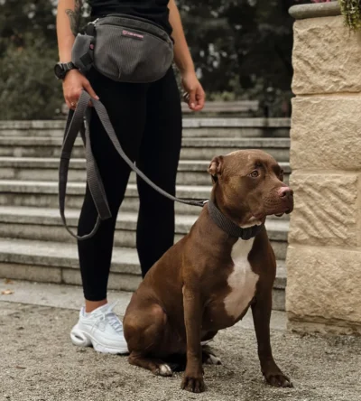 SMYCZ MIEJSKA SZTRUKS