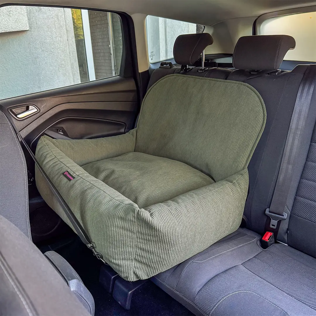 fotelik samochodowy dla psa na tylnej kanapie auta