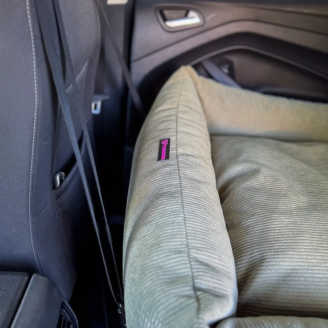 zbliżenie uchwytu fotelika dla psa