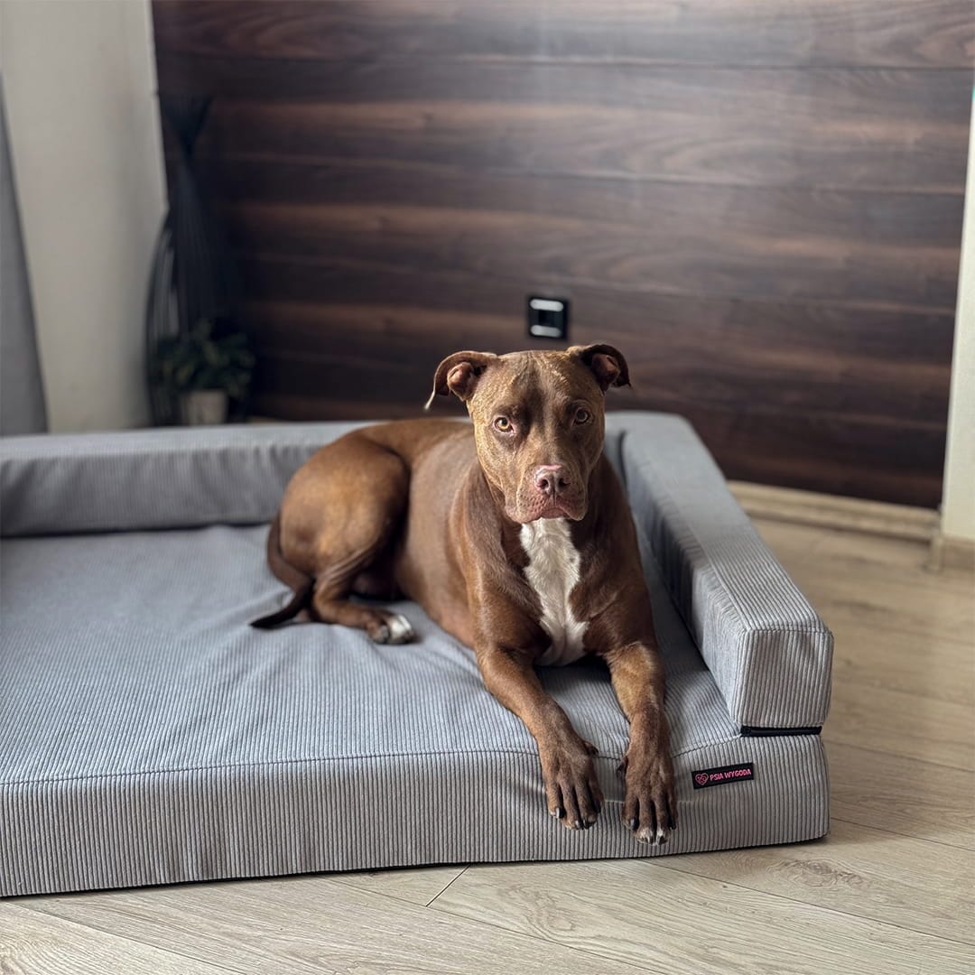 SOFA ORTOPEDYCZNA DLA PSA ORTO BIZI - obrazek 5