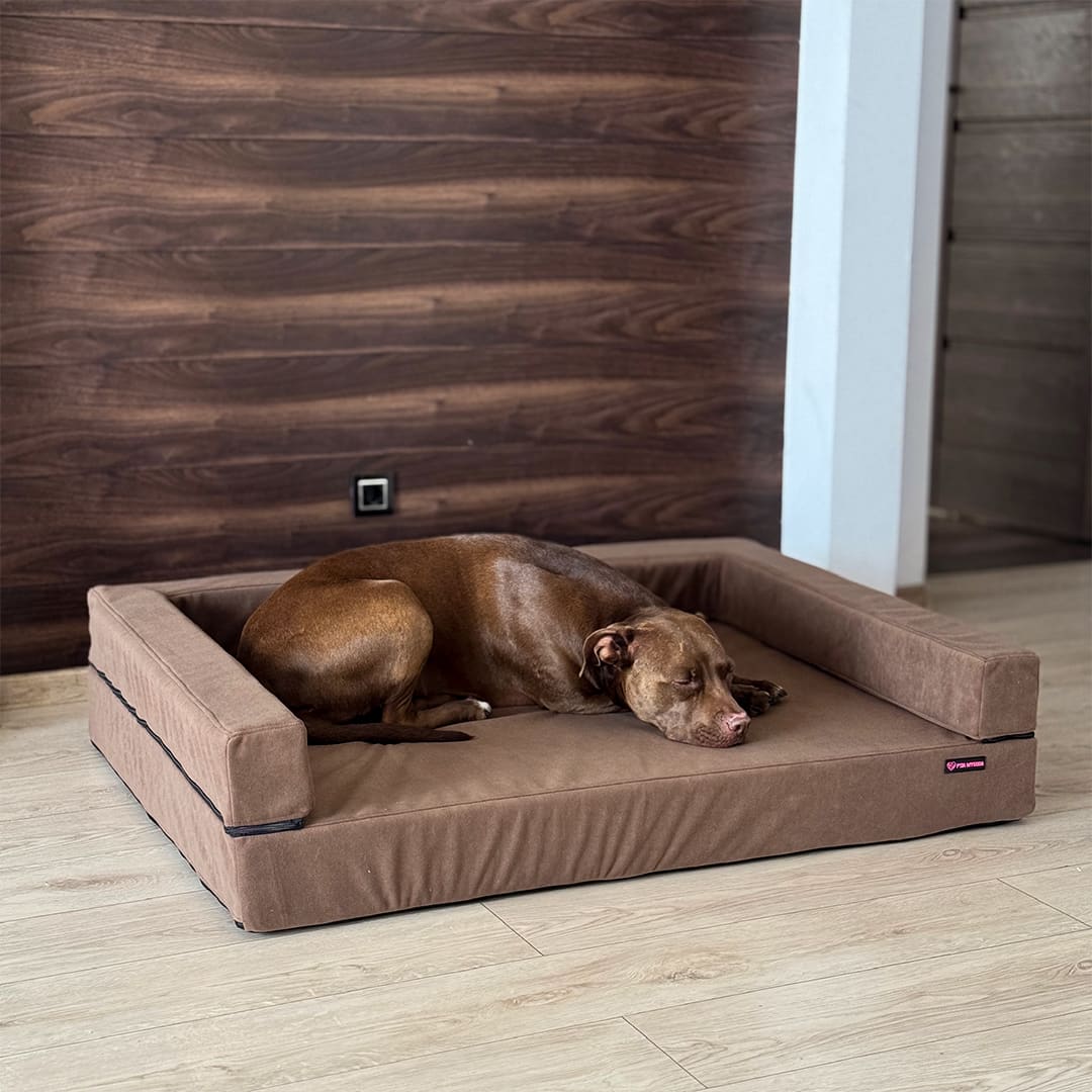SOFA ORTOPEDYCZNA DLA PSA ORTO BIZI - obrazek 3