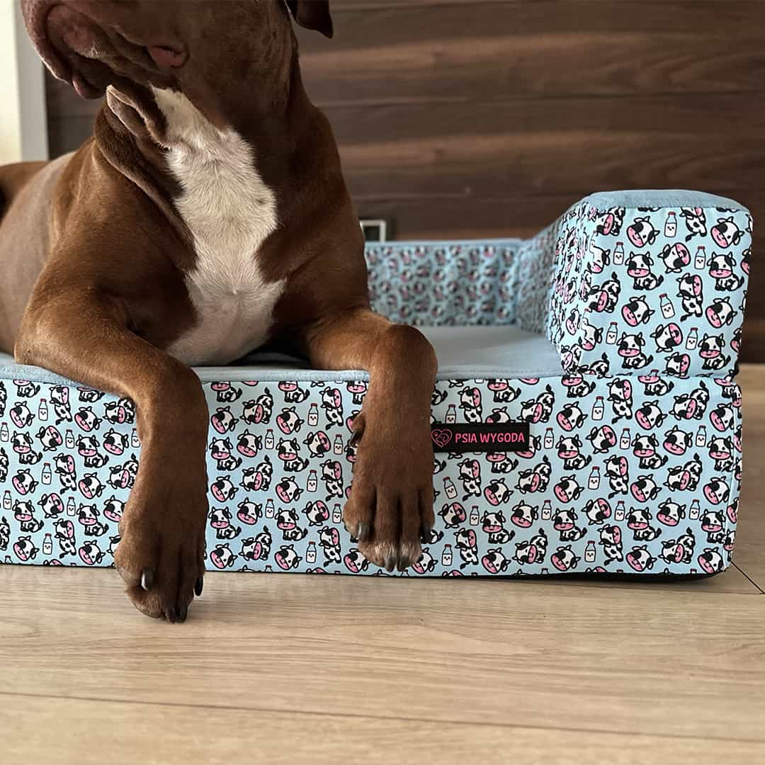 SOFA ORTOPEDYCZNA DLA PSA "HOLY MOLY" DUO - obrazek 11