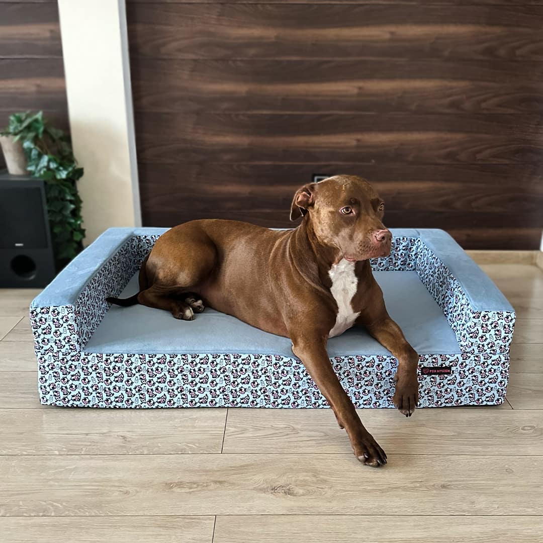 Brązowy pies pitbull na sofie ortopedycznej dla psa marki Psia Wygoda z wysokim materacem