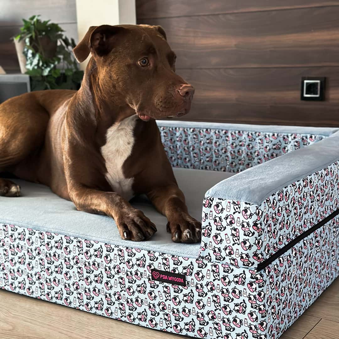 SOFA ORTOPEDYCZNA DLA PSA "HOLY MOLY" DUO - obrazek 12
